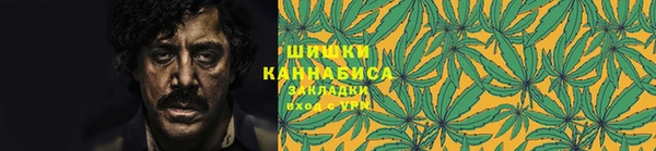 мдпв Кулебаки
